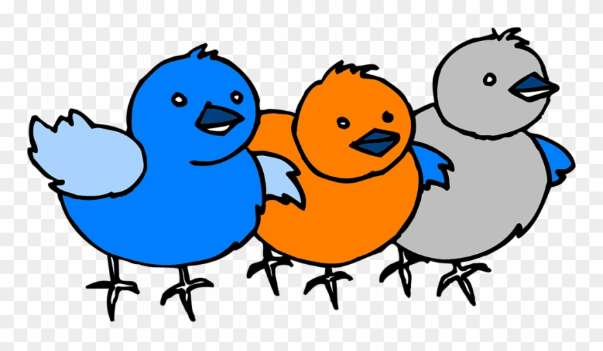 Three Birds Cartoon Clipart