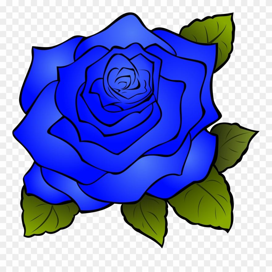 Drawing Rose Clipart