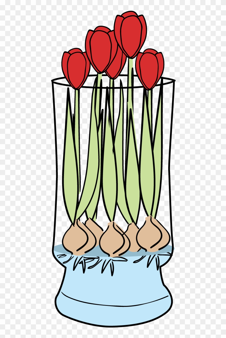 The Mold Will Not Affect The Growth Of The Plants - Bloomaker, Inc. Clipart