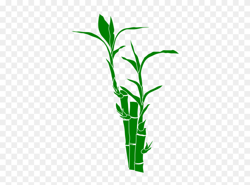 Bamboo Png 18, Buy Clip Art - Bamboo Clip Art Transparent