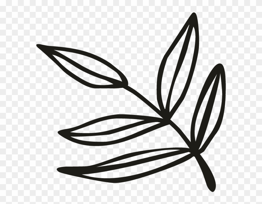 Greely - Suculentas Em Preto E Branco Clipart