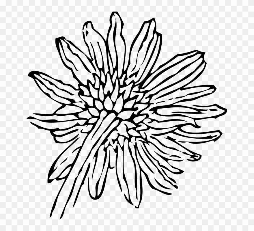 Simple Flower Outline 14, Buy Clip Art - Sunflower Clip Art - Png Download