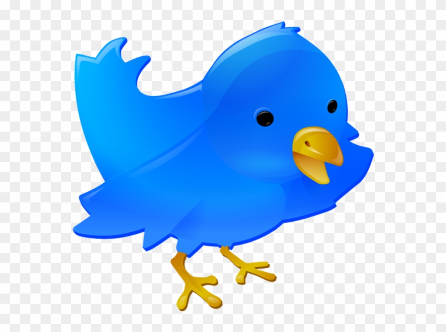 Twitter Bird Free Images At Clker Com Vector Clip Art - Web Buttons - Png Download