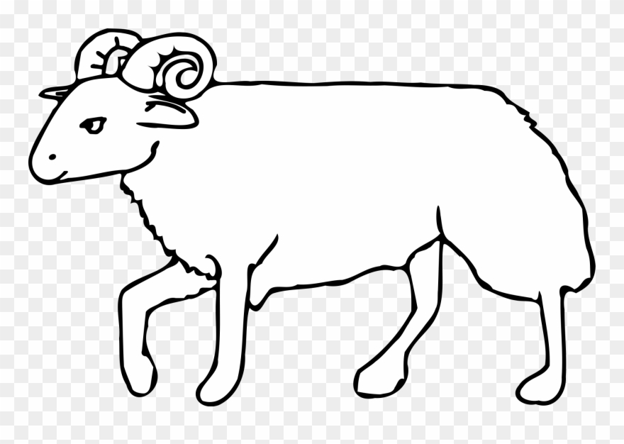 Collection Of Lion Outline Cliparts - Clip Art - Png Download