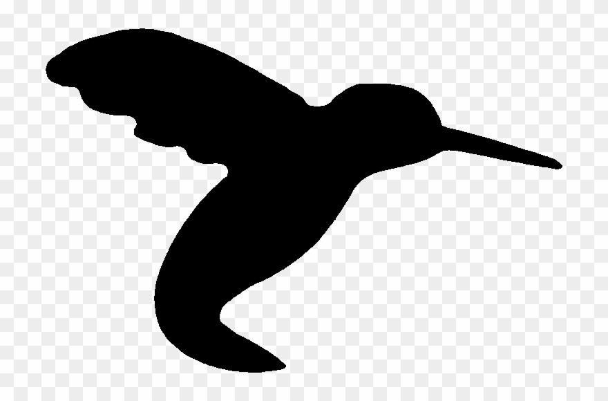 Clip Art Clipart Hummingbird Beak Clip Art - Clip Art - Png Download