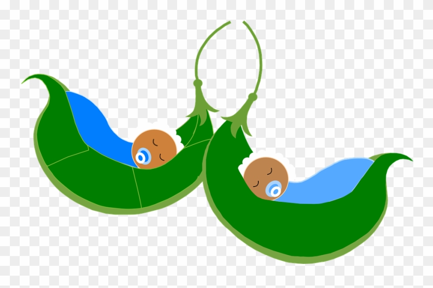 Baby Peas In A Pod Clipart