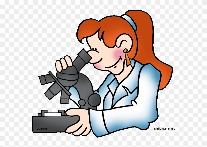 Branch Clipart - Medical Technologist Clip Art - Png Download