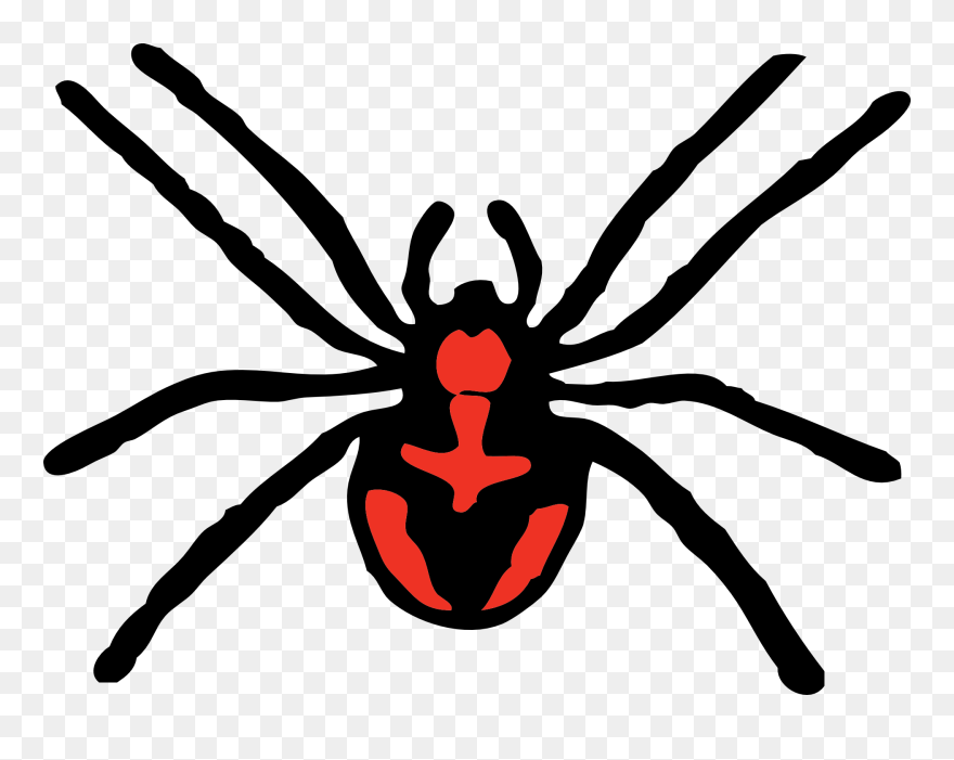 Black Widow Spider Art 11, Buy Clip Art - Spider Clipart - Png Download