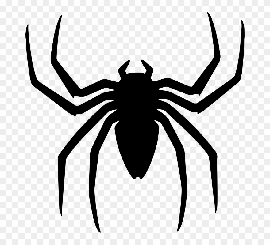 Spider Clip 1, Buy Clip Art - Паук Хэллоуин - Png Download