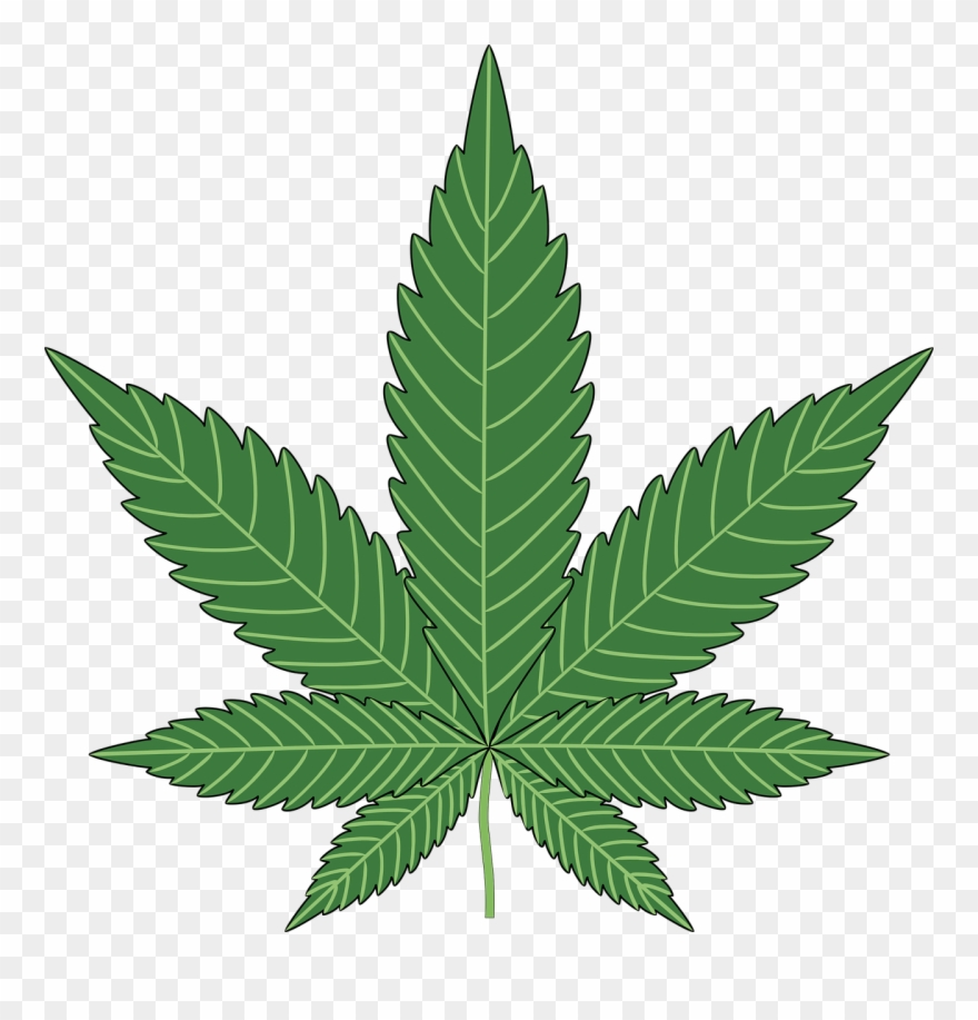 Town Council To Consider Zoning Changes For Recreational - Hoja De Marihuana Para Dibujar Clipart