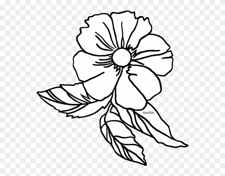 Georgia At Getdrawings Com Clipart Download - Cherokee Rose Clip Art - Png Download