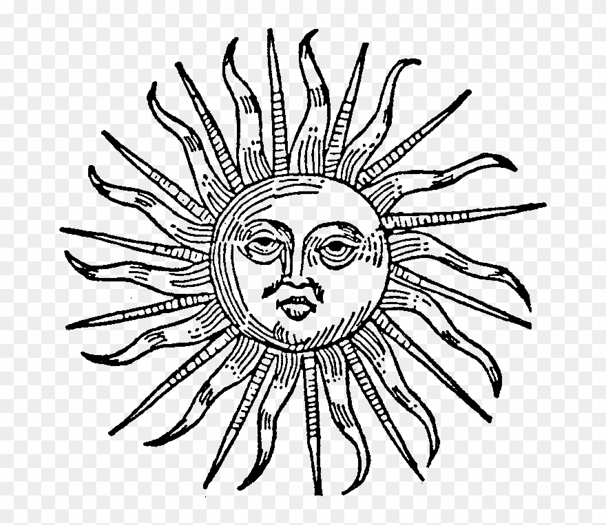 Phoebus Sun Image - Sunflower Drawing Back Clipart