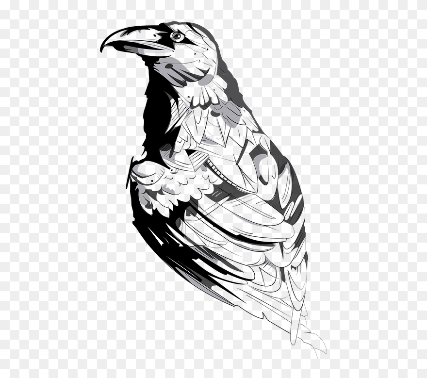 Cool Sun Drawings 17, Buy Clip Art - Crows - Png Download