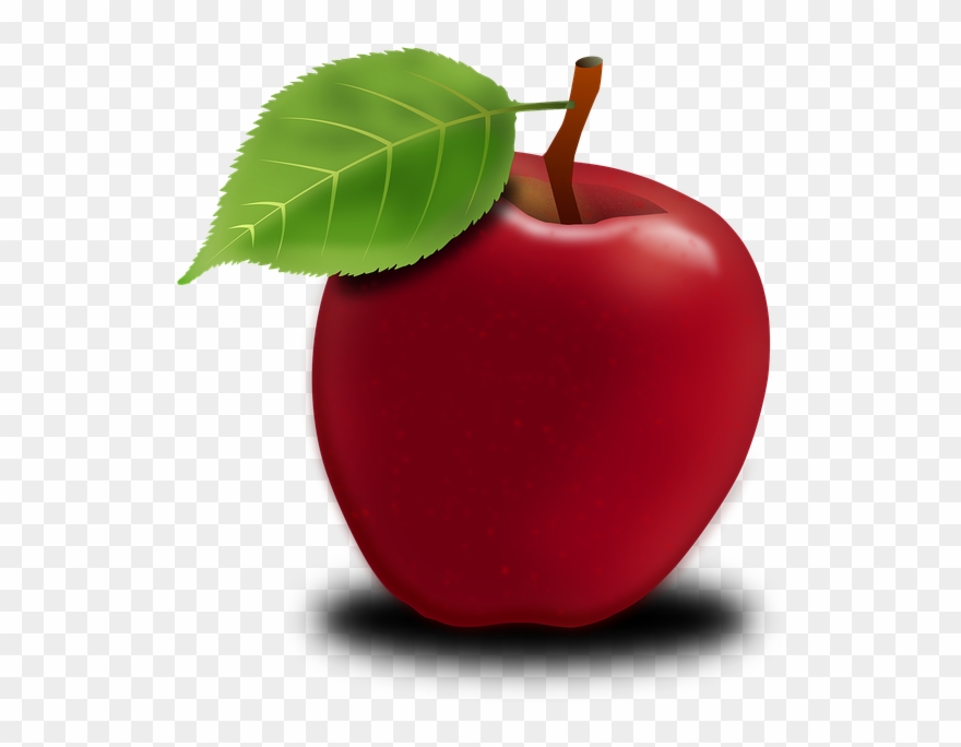 Favourite Fruit Clipart