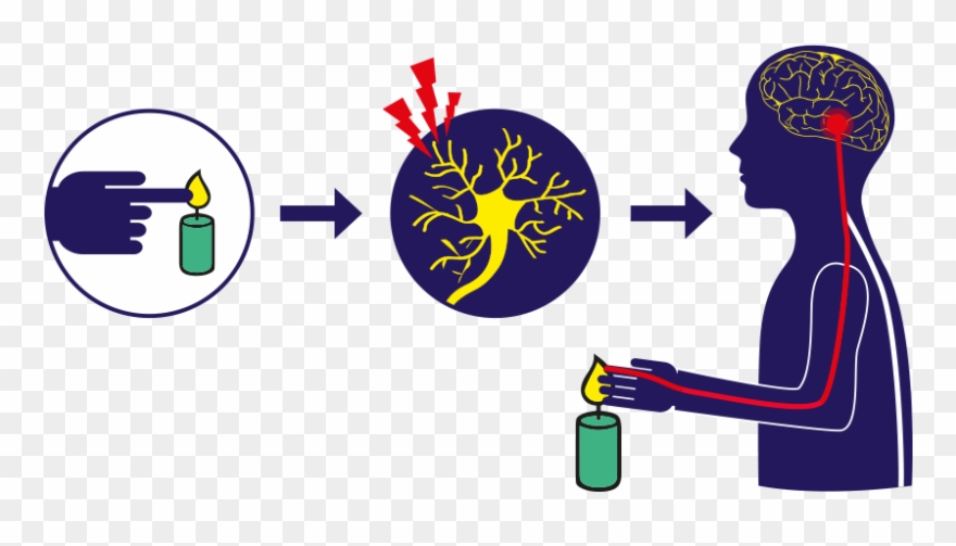 Schmerzentstehung - Pain Clipart