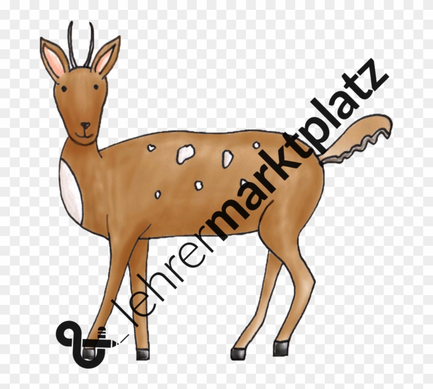 ‹ › - Op Art Vorlagen Clipart