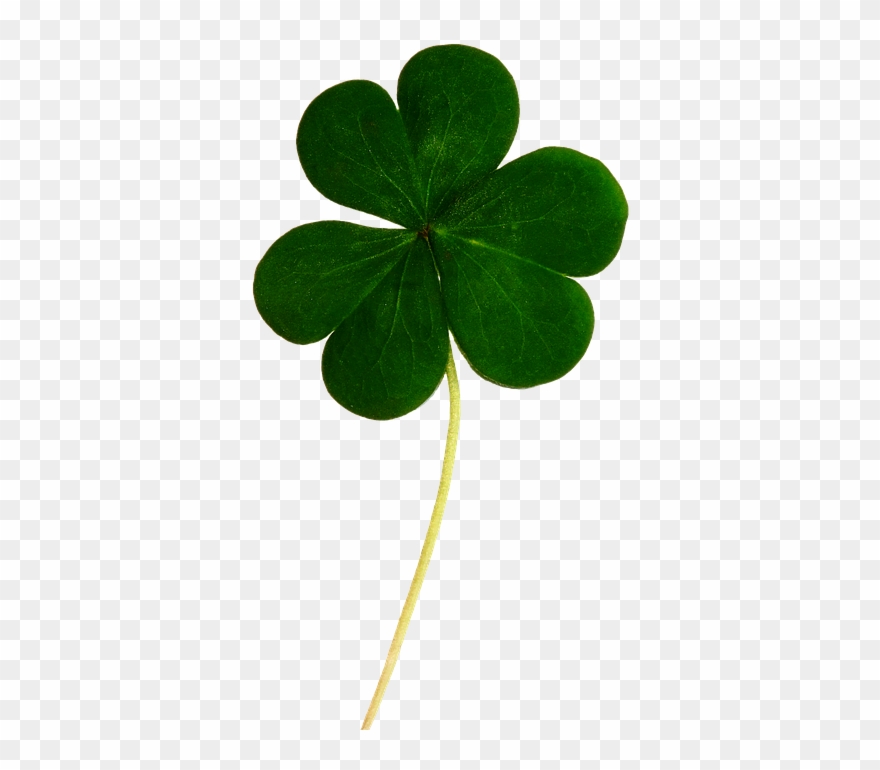 Shamrock Images 6, Buy Clip Art - Irish Lucky Leaf - Png Download