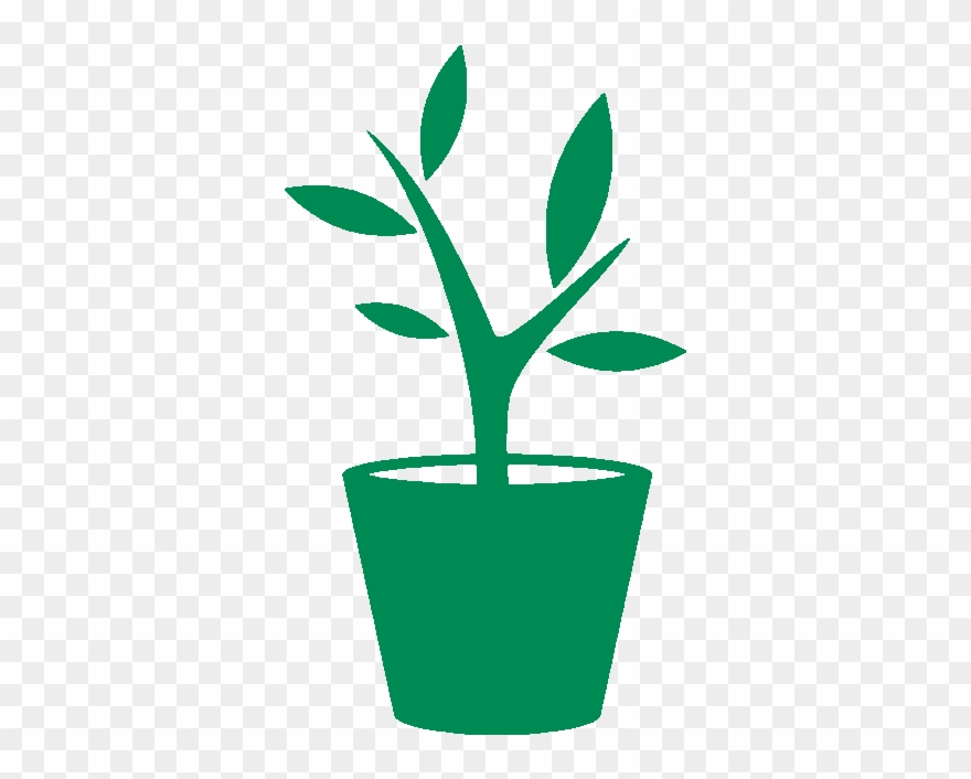 Naar Webshop - Иконка Цветок В Горшке Clipart