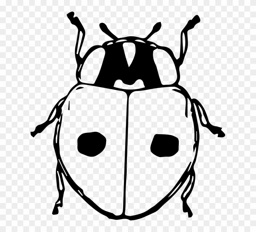 Black And White Ladybug Clipart 9, Buy Clip Art - Kumbang Gambar Hitam Putih - Png Download