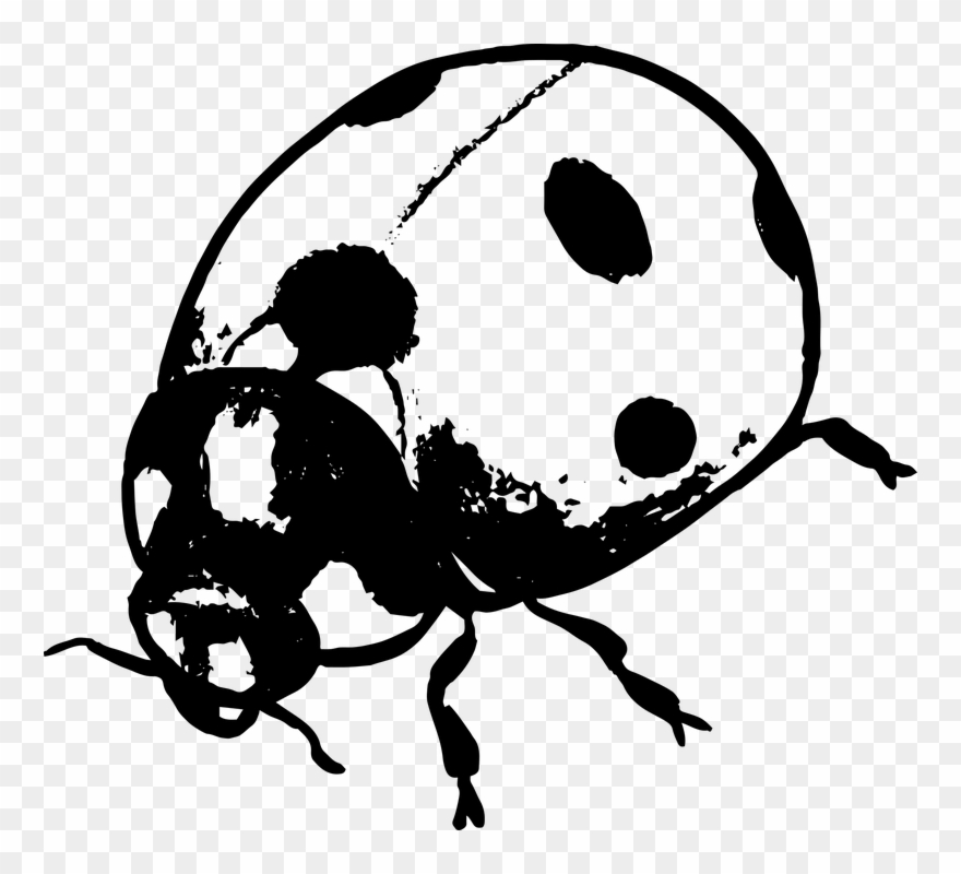 Black And White Ladybug Clipart 10, Buy Clip Art - Ladybug Silhouette - Png Download