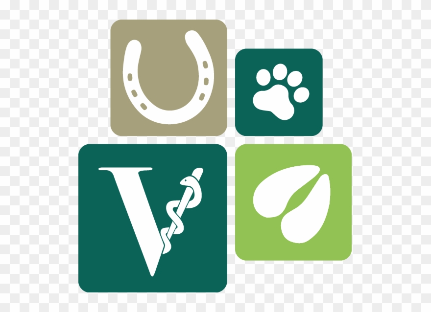 Graphic Design Clipart