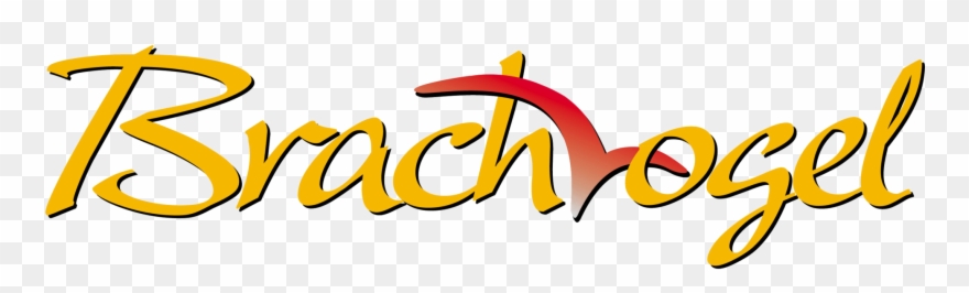 Home - Calligraphy Clipart