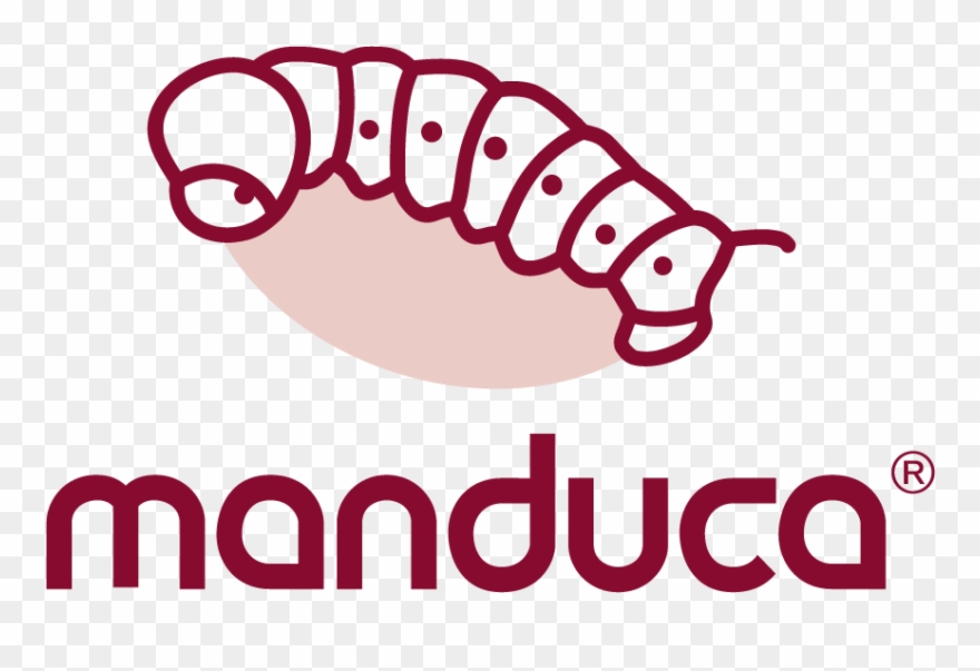 Book Amalyze Now - Manduca Logo Clipart