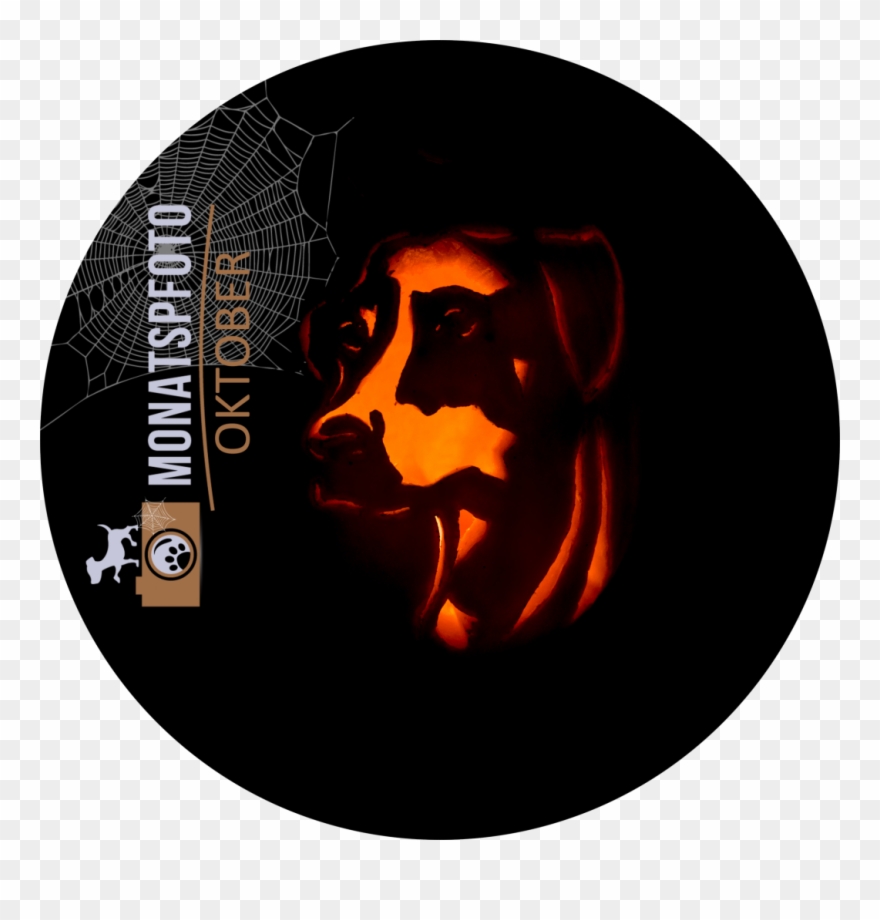 Monatspfoto Oktober”halloween Im Zeichen Des Hunde-kürbis”[midoggy] - Dog Clipart