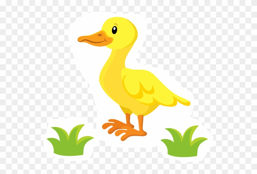 Eine Kleine Ente In Eine Bordüre Oder In Einen Pullover - Duck Clipart
