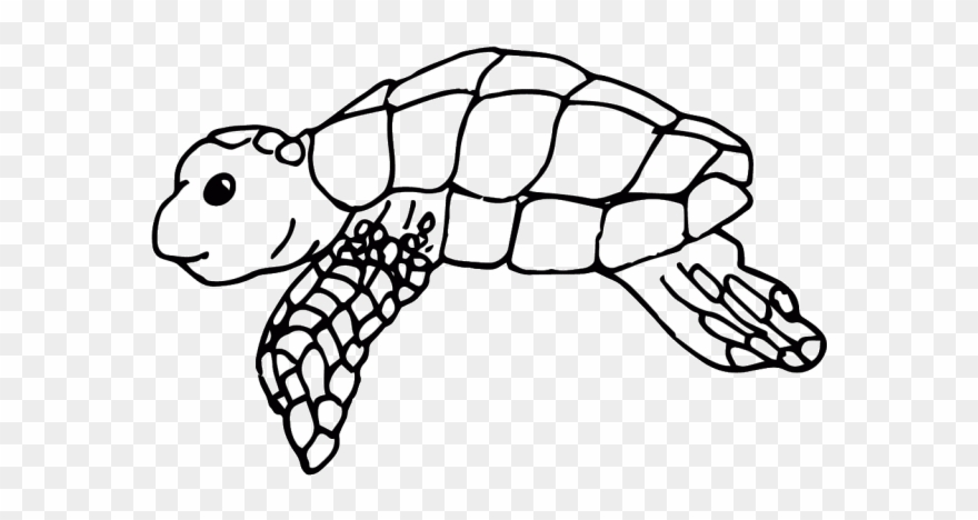 Sea Turtle Clipart Black And White - Turtle - Png Download