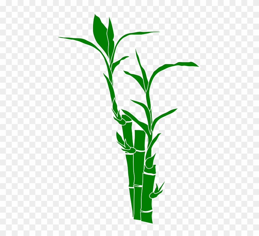 Tierpark - Bamboo Shoots Clipart Png Transparent Png