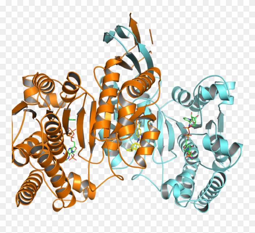 Heidelberg Substanz Blockiert Krebsspezifische Mutation - Brown Clipart