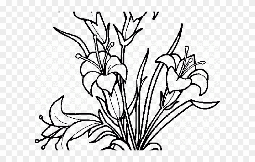 White Flower Clipart Coloring - Ramos De Flores Para Bordar - Png Download