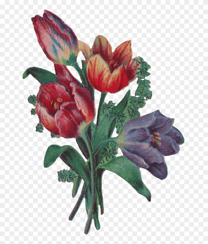 Victorian Flowers Cliparts - Victorian Flower Art - Png Download
