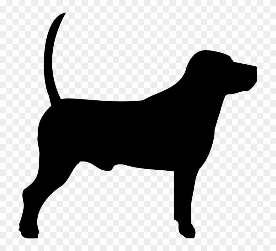 House Pet Cliparts 5, Buy Clip Art - Dog - Png Download