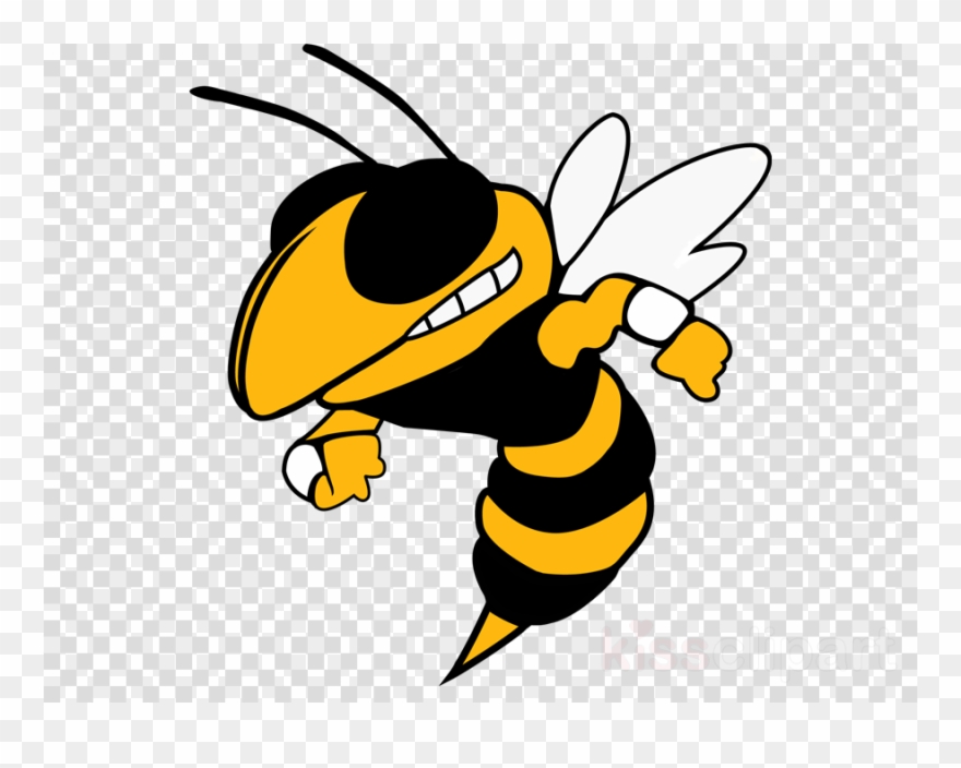 Oxnard Yellow Jackets Clipart Oxnard High School Georgia - Ga Tech Buzz - Png Download