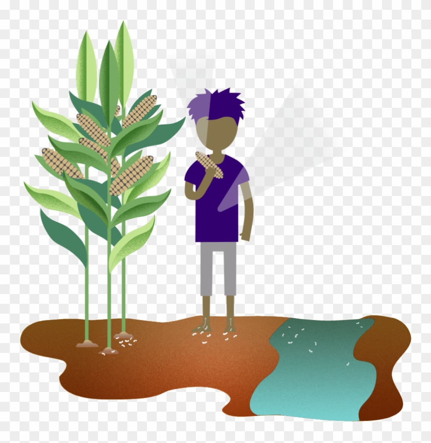 School Of Public Health Bridging The “know-do” Gap - Intestinal Parasite Infection Clipart