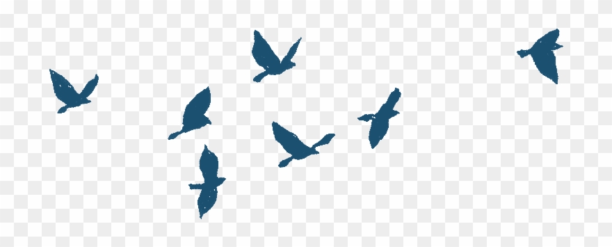 Bird Gif Png - Bird Flying Gif Png Clipart