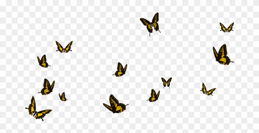 Butterflies Flying Away Png Clipart