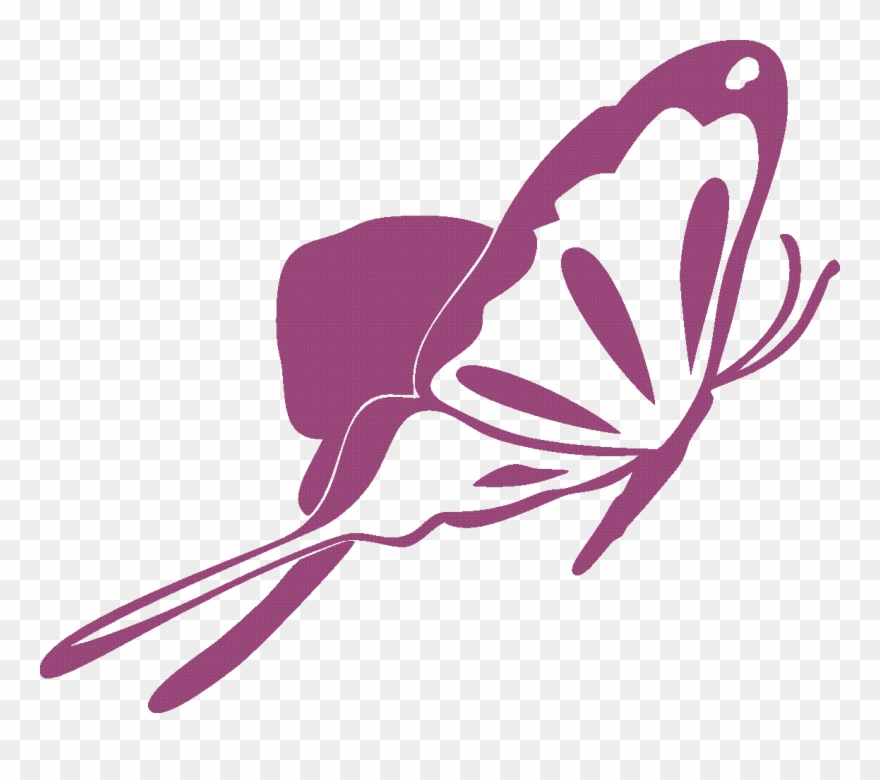 Butterfly In Graphic Clipart