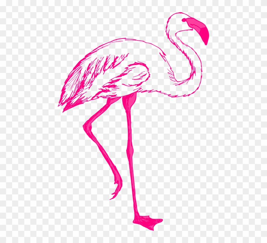 Pink Flamingo Cliparts 17, Buy Clip Art - Flamingos Drawing - Png Download