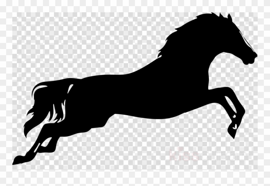 Download Horse Silhouette Clipart Horse Clip Art Horse - Horse Black And Wight - Png Download