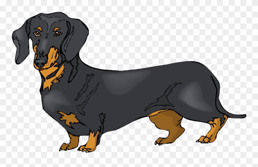Black Clipart Dachshund Dachshund Custom Throw Blanket Png