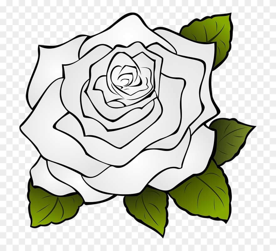Rose Flower Drawing 11, Buy Clip Art - Transparent Rose Outline - Png Download