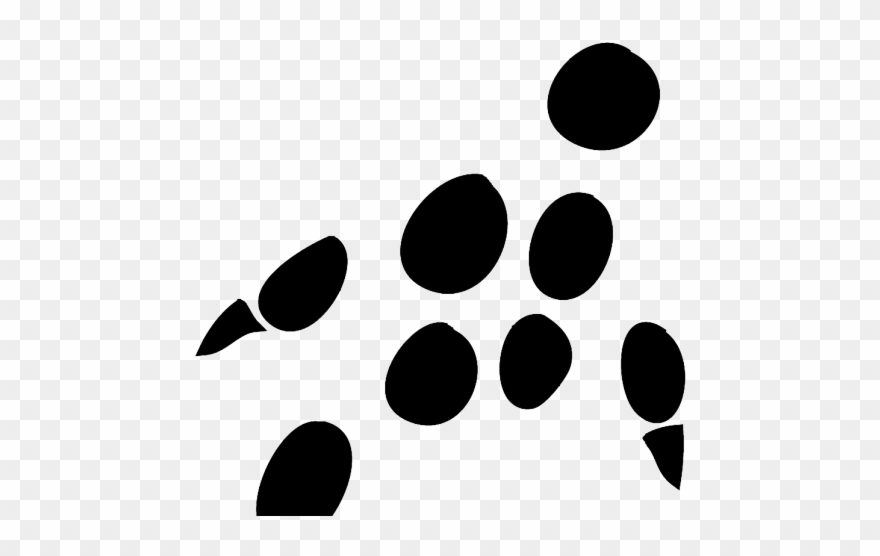 Footprint Clipart Rat - Transparent Hedgehog Footprints - Png Download
