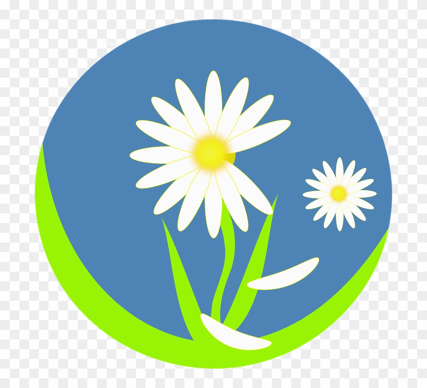 Smiling Daisy Cliparts 23, Buy Clip Art - Daisy Group Logo Png Transparent Png