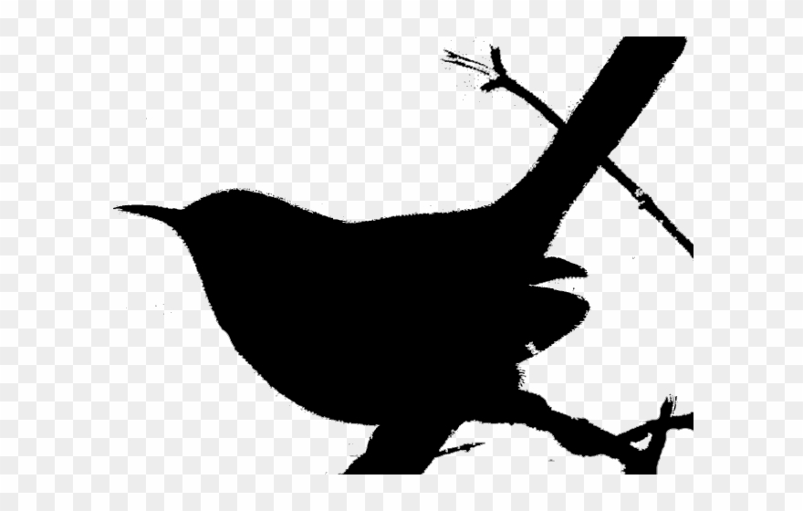 Brds Clipart Paw Print - Bird - Png Download