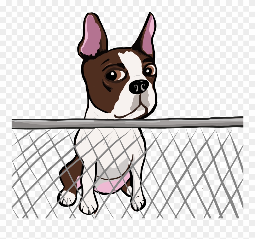 Graphic Black And White Stock Pictures Certapet - Dog Clipart