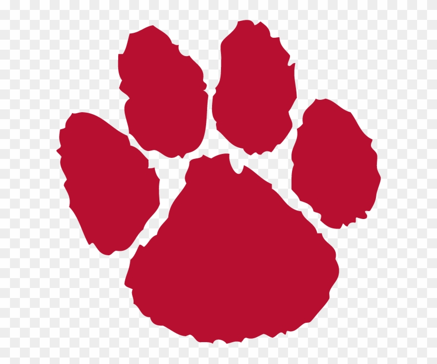 Red-paw - Cougar Paw Print Clipart - Png Download