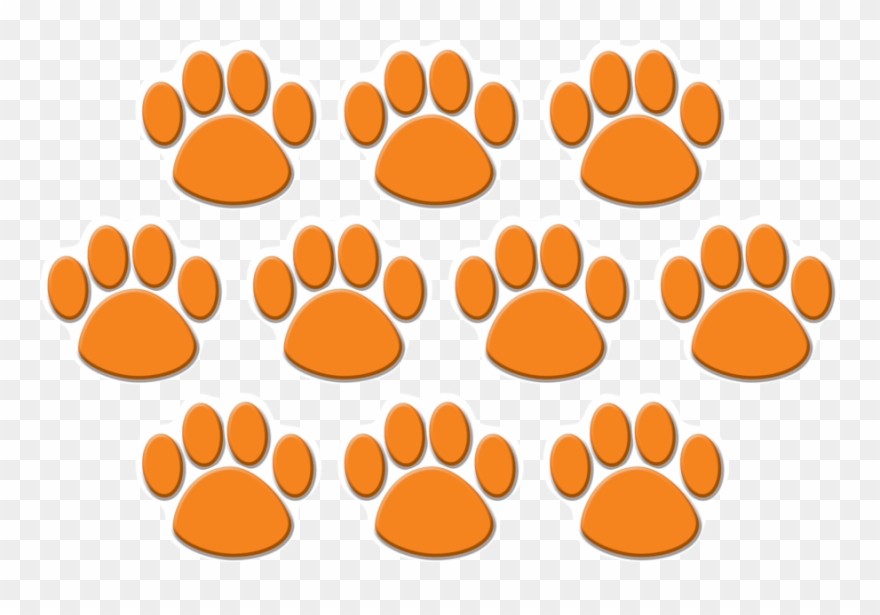Tcr4649 Orange Paw Prints Accents Image - Orange Paw Prints Clipart